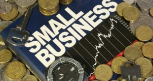 Государственные программы льготного кредитования малого бизнеса