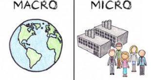 Микроэкономика — что это за наука, сфера ее интересов