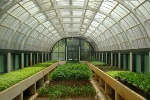 Выращивание зелени в квартире бизнес план